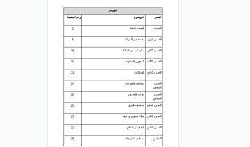 خطط تسويقية مصغرة للمشاريع.